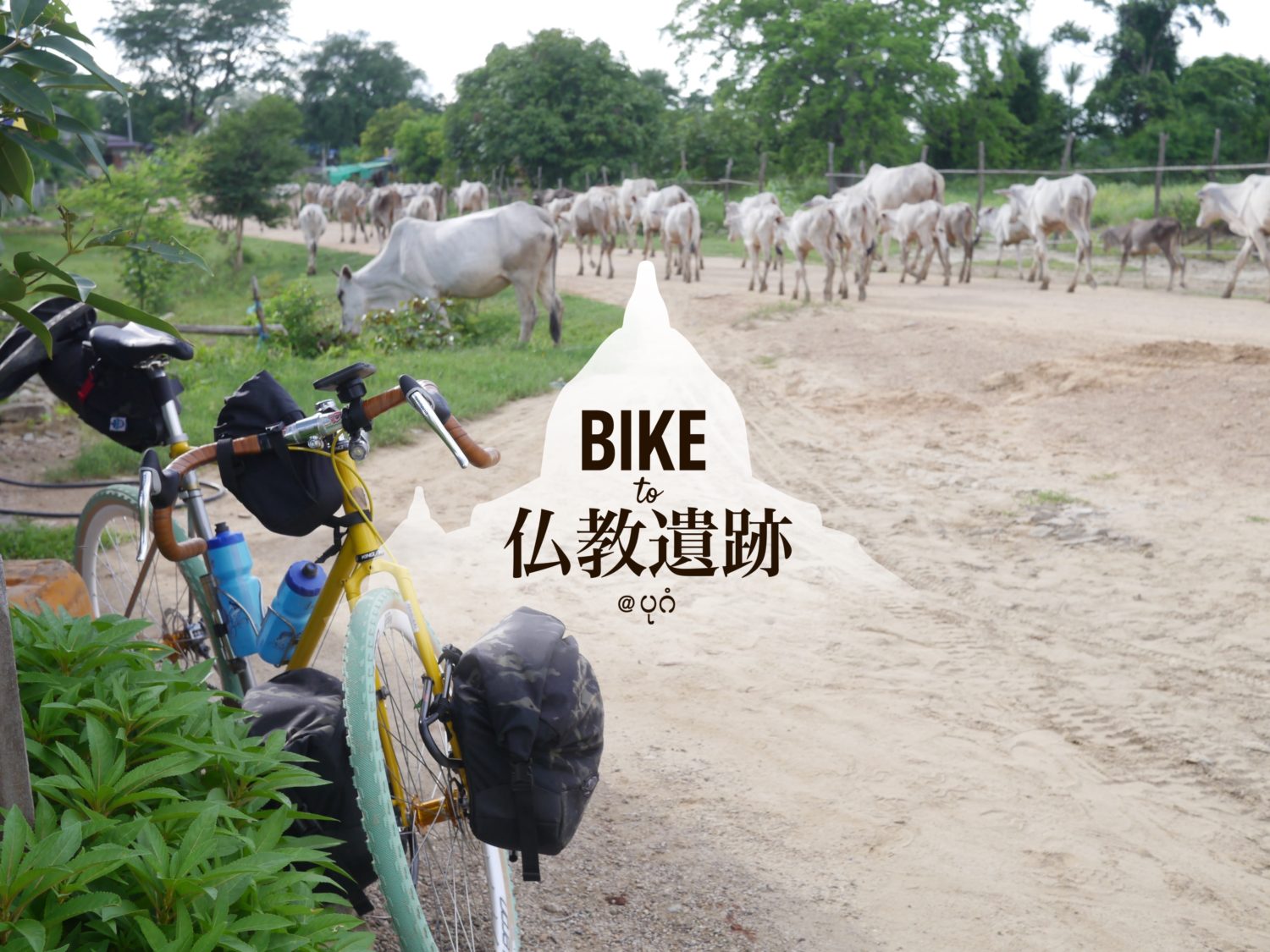 Bike to 仏教遺跡